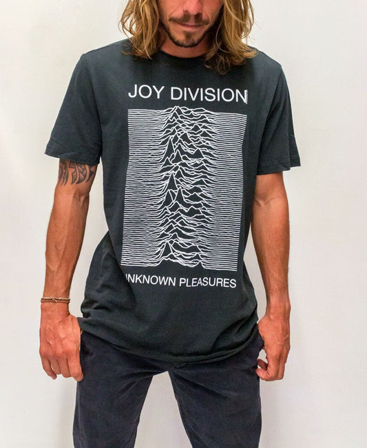 Joy Division